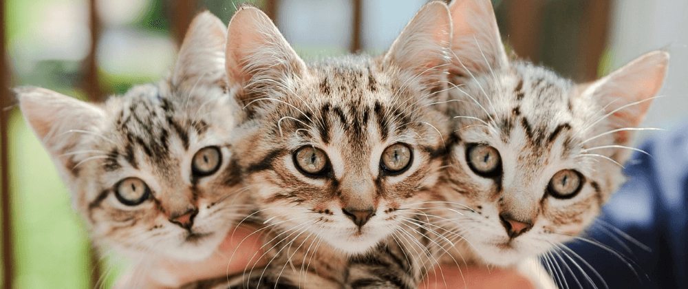 Spread vs Rest Operators in JavaScript